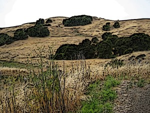 On the back road to Marcie's house